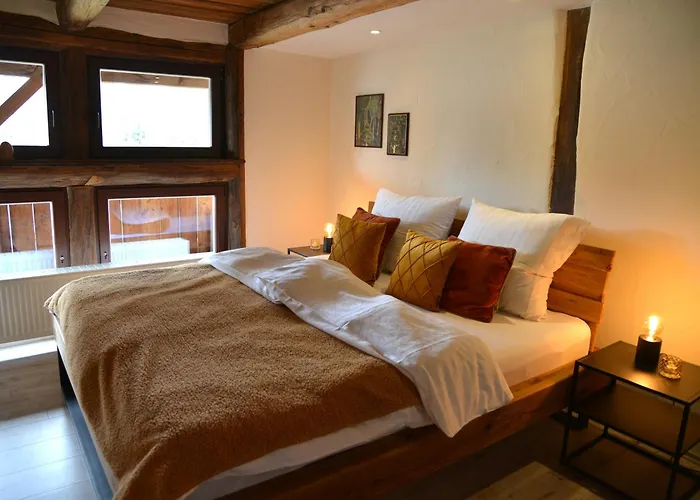 Апартаменты Mit 2 Schlafzimmern In Nahe Mulderadweg Гримма